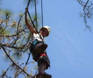 parcours dans les arbres dans l Aveyron